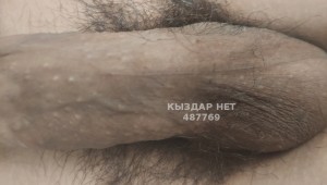 Жиголо Кокшетау Парень№487769 Адам Фотография №3679801