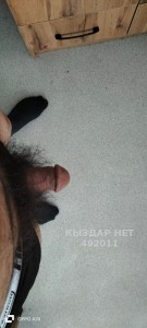 Жиголо Павлодара Парень№492011 Нурлан Фотография №3711150