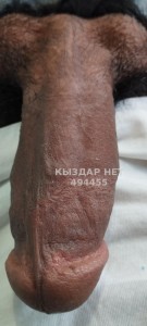 Жиголо Тараза Парень№494455 Рустам Фотография №3727875