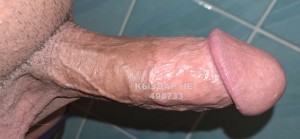 Жиголо Тараза Парень№498733 Арсен Фотография №3752185