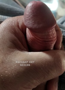 Жиголо Астаны Парень№503198 Феликс Фотография №3774348