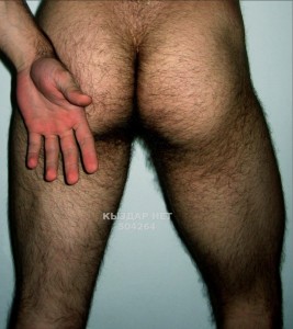 Жиголо Петропавловска Парень№504264 Тошаватсапвидеоаудиозвонки Фотография №3779044