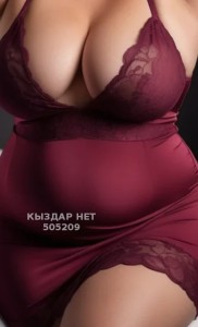 Проститутка Алматы Девушка№505209 Ильмира Фотография №3782130