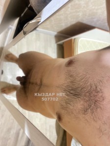 Жиголо Алматы Парень№507702 Rafael Фотография №3794526