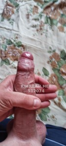 Жиголо Шымкента Парень№512074 Kotik-kuni Фотография №3823682