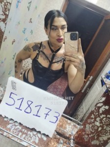 Транс Шымкента Транс№518173 Севда Фотография №3868604