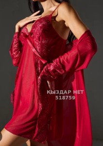 Проститутка Кызылорды Анкета №518759 Фотография №3870030