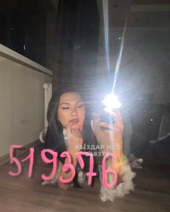 Транс Караганды Транс№519376 Арай последний день Фотография №3886421