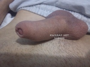 Жиголо Астаны Парень№519889 Денис Фотография №3896141