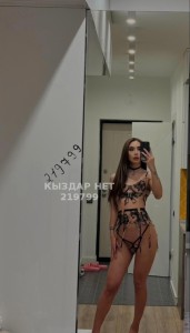 Транс Алматы Транс№219799 Д-И-Н-А Метиска Канал на продажу Фотография №3941811